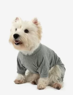 Dogs Solid Color Light Grey Pajamas