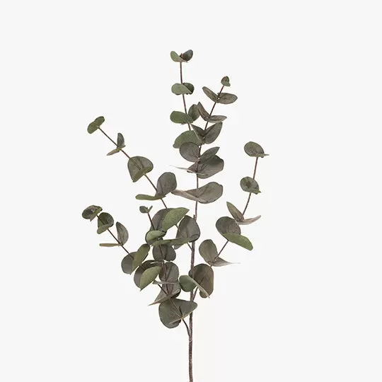 Eucalyptus Silver Dollar - Dark Green 86cm