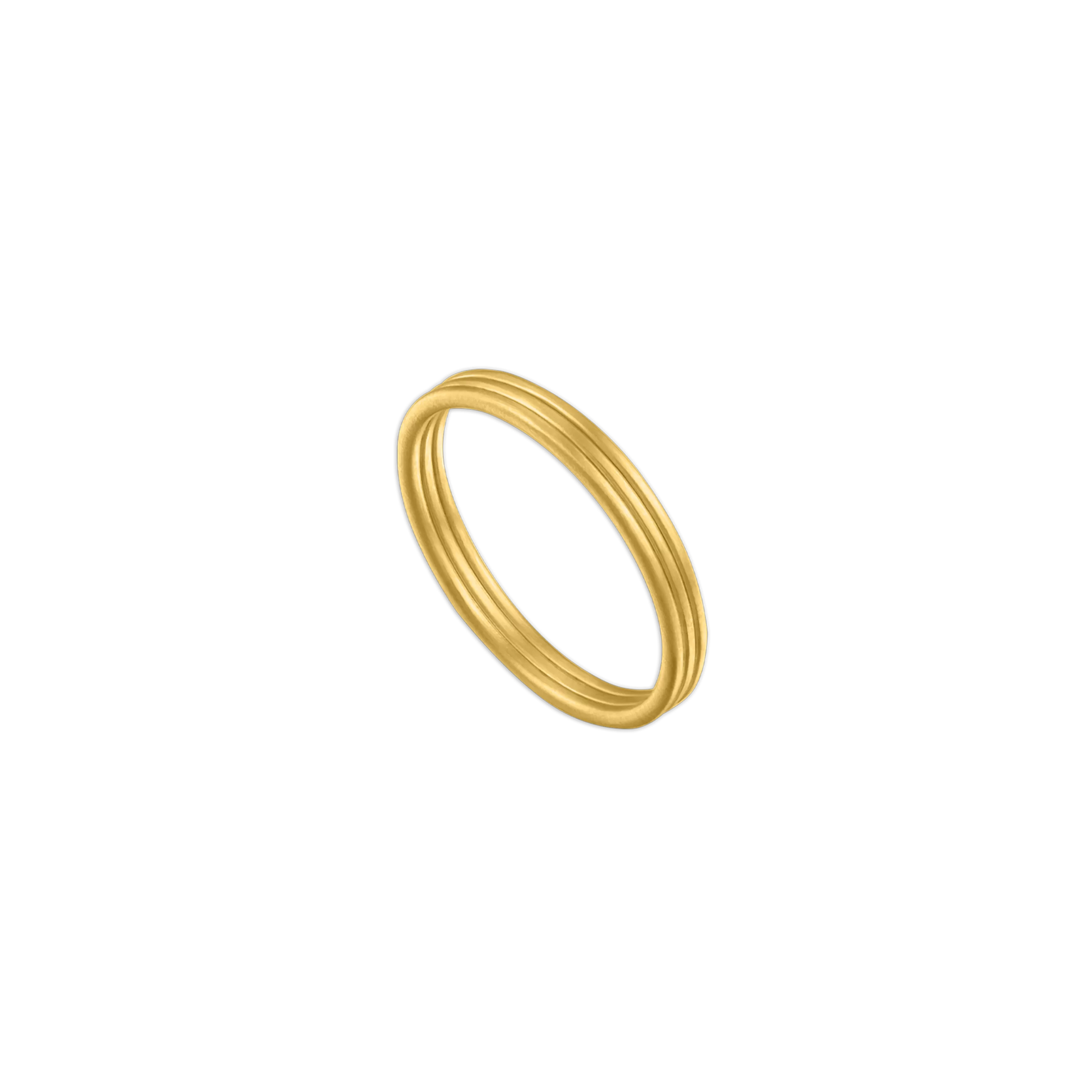 Filum Ring