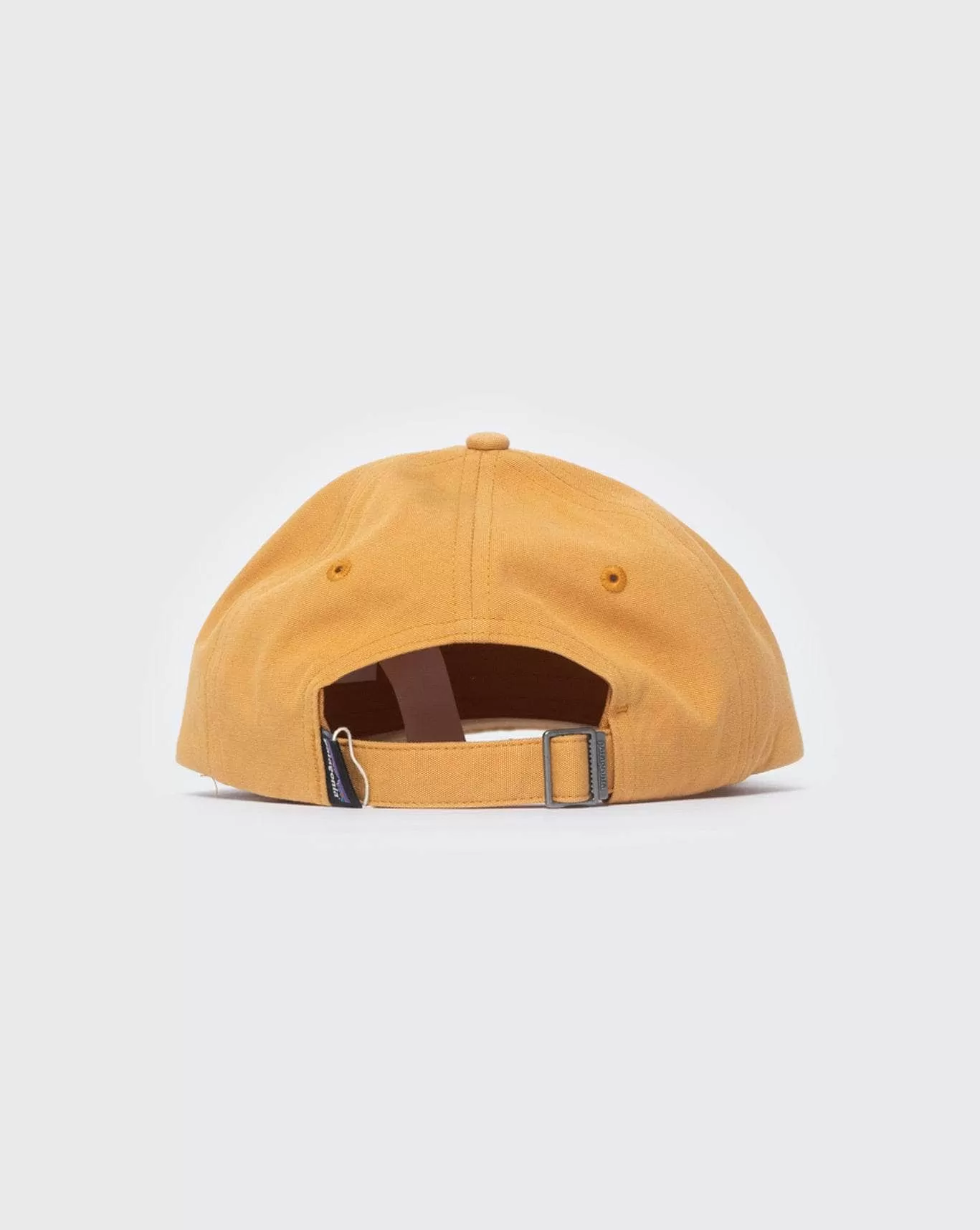 Patagonia P-6 Label Trad Cap