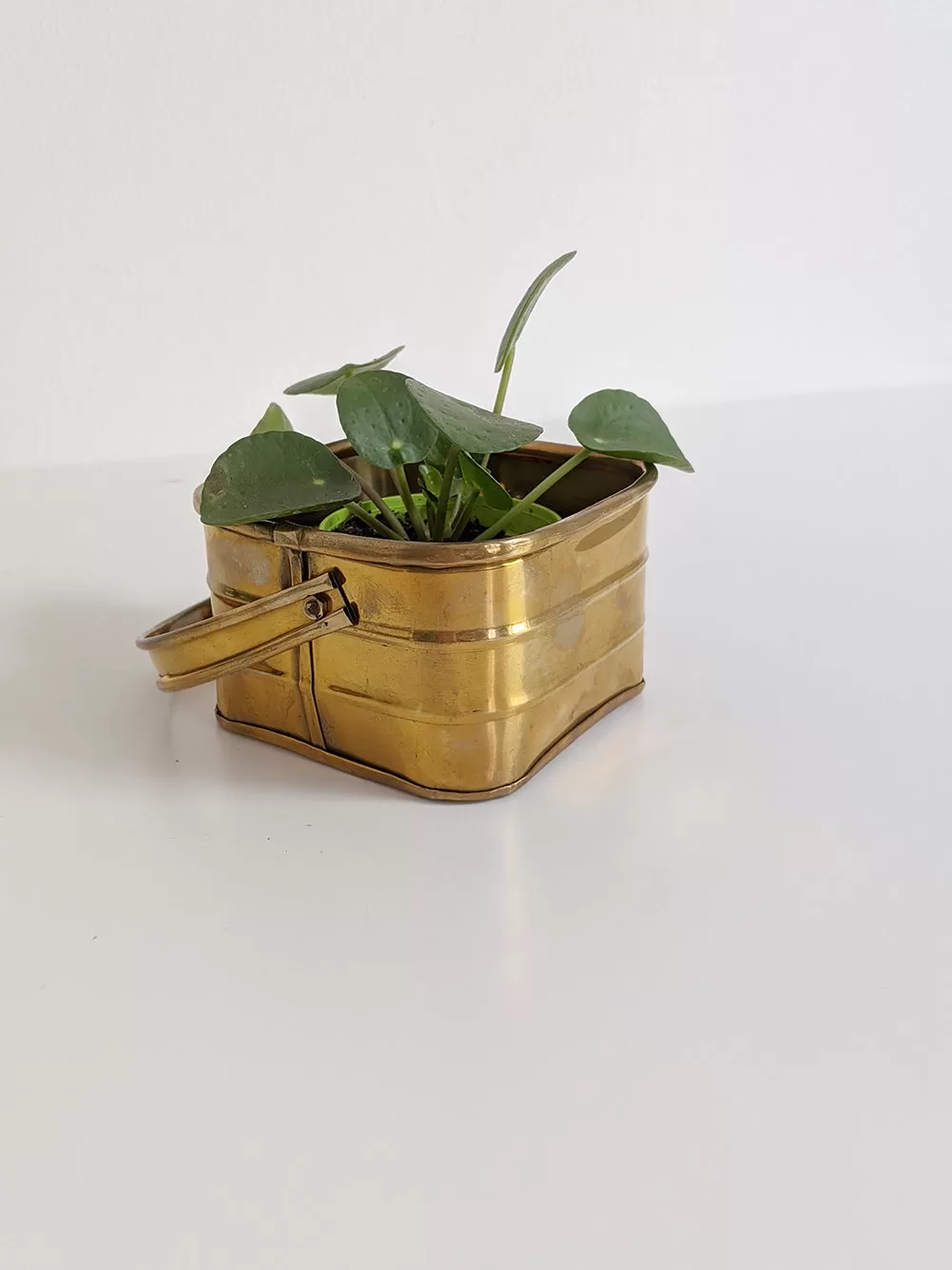 Square Brass Bucket