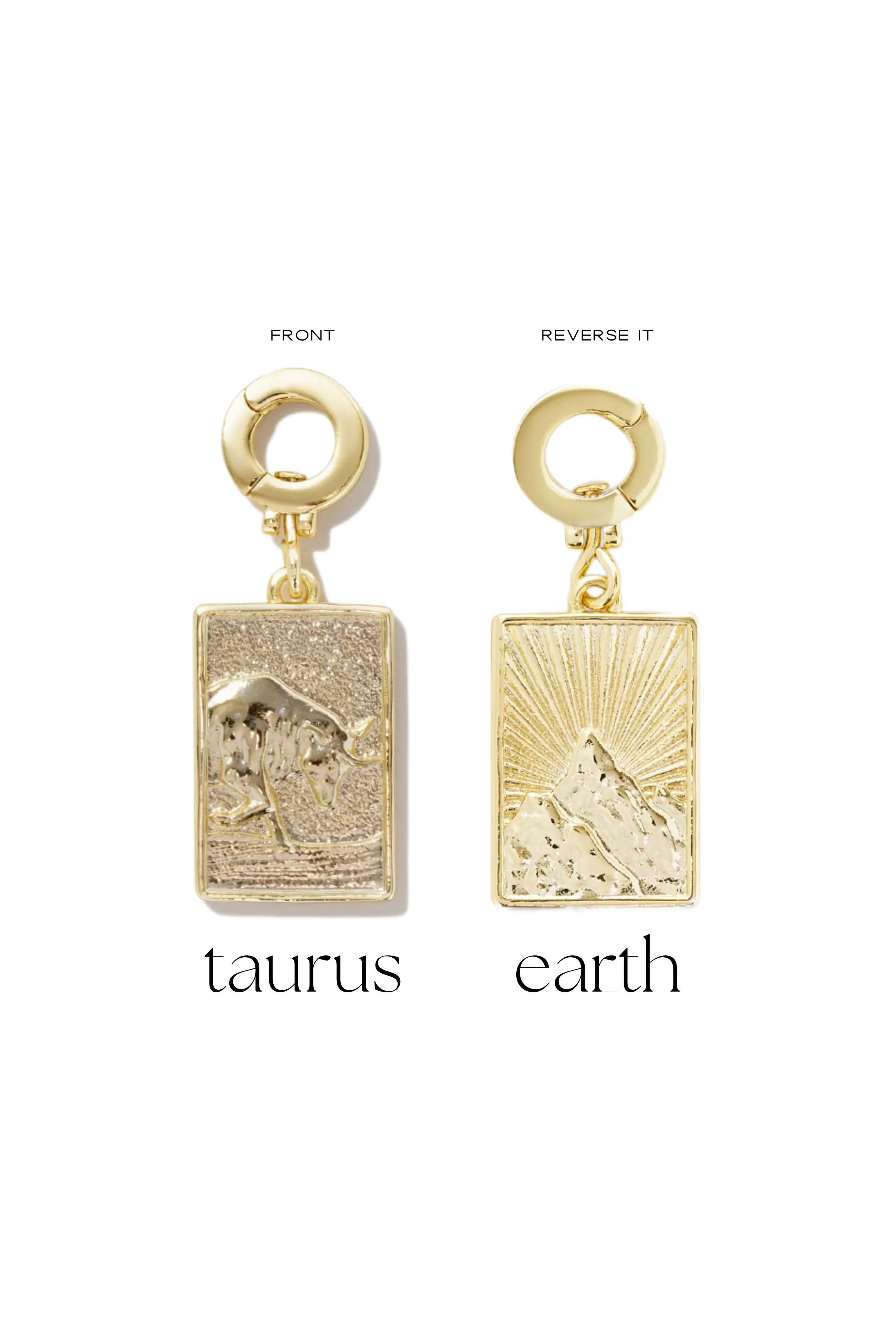 Zodiac Charms