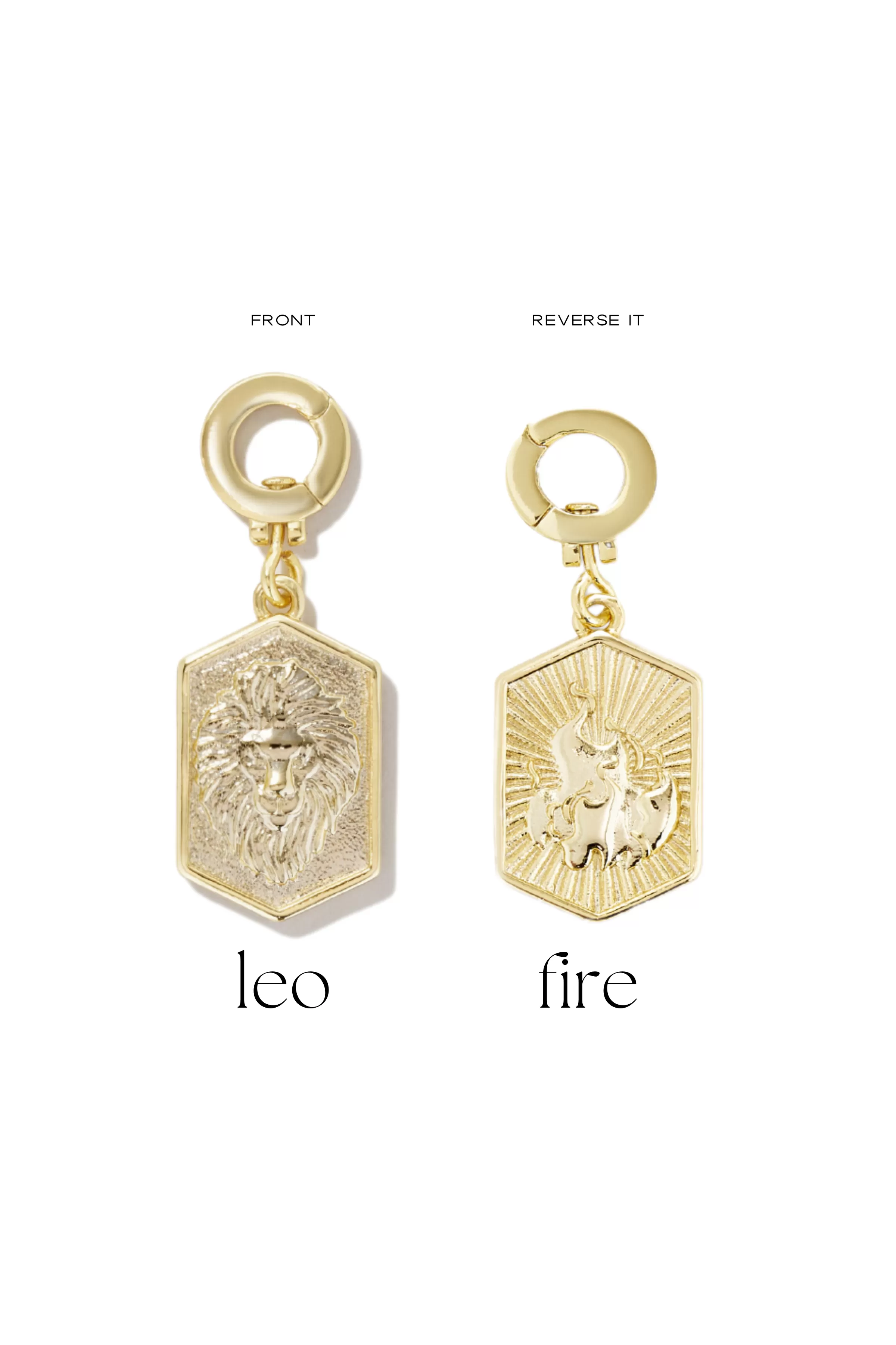 Zodiac Charms