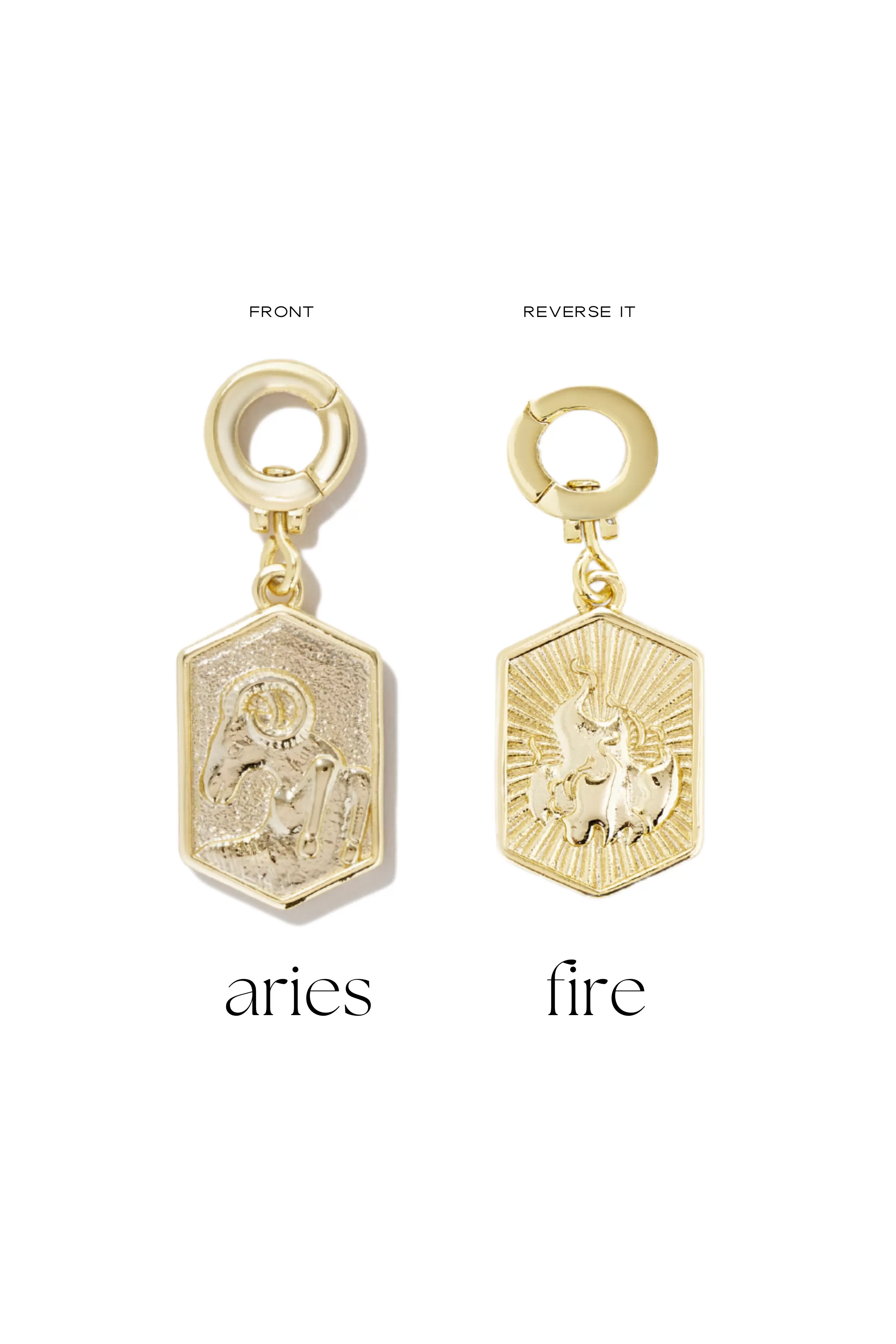 Zodiac Charms